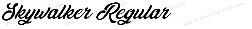 Skywalker Regular字体转换